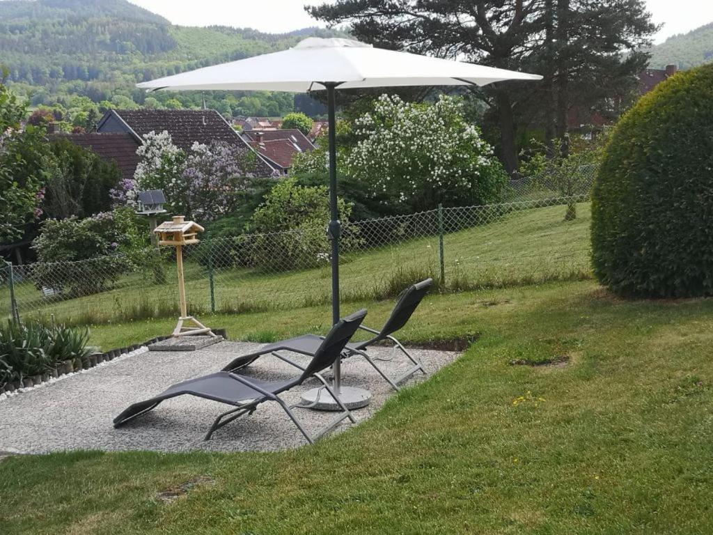 Casa Carlotta - Keine Monteure Villa Langelsheim Exterior foto